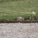 Naturperlen 4* Rødekro