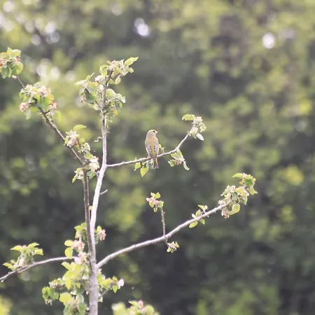 Naturperlen Apart-hotel