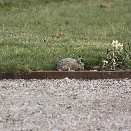 Naturperlen 4* Rødekro
